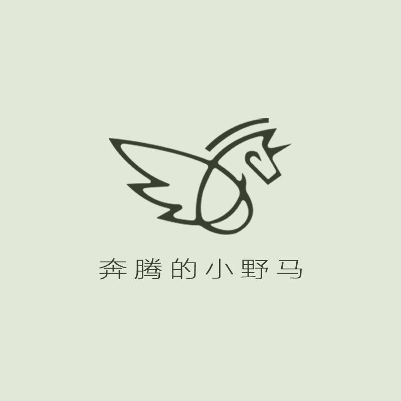 奔腾的小野马-园园