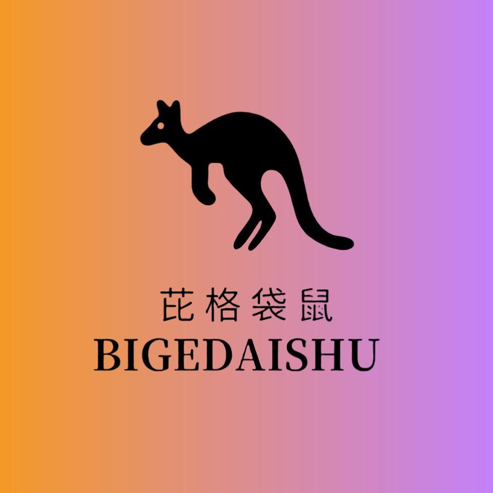 BIGEDAISHU丹梵授权店