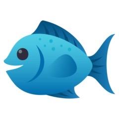 悠游鱼境（@一包遭）