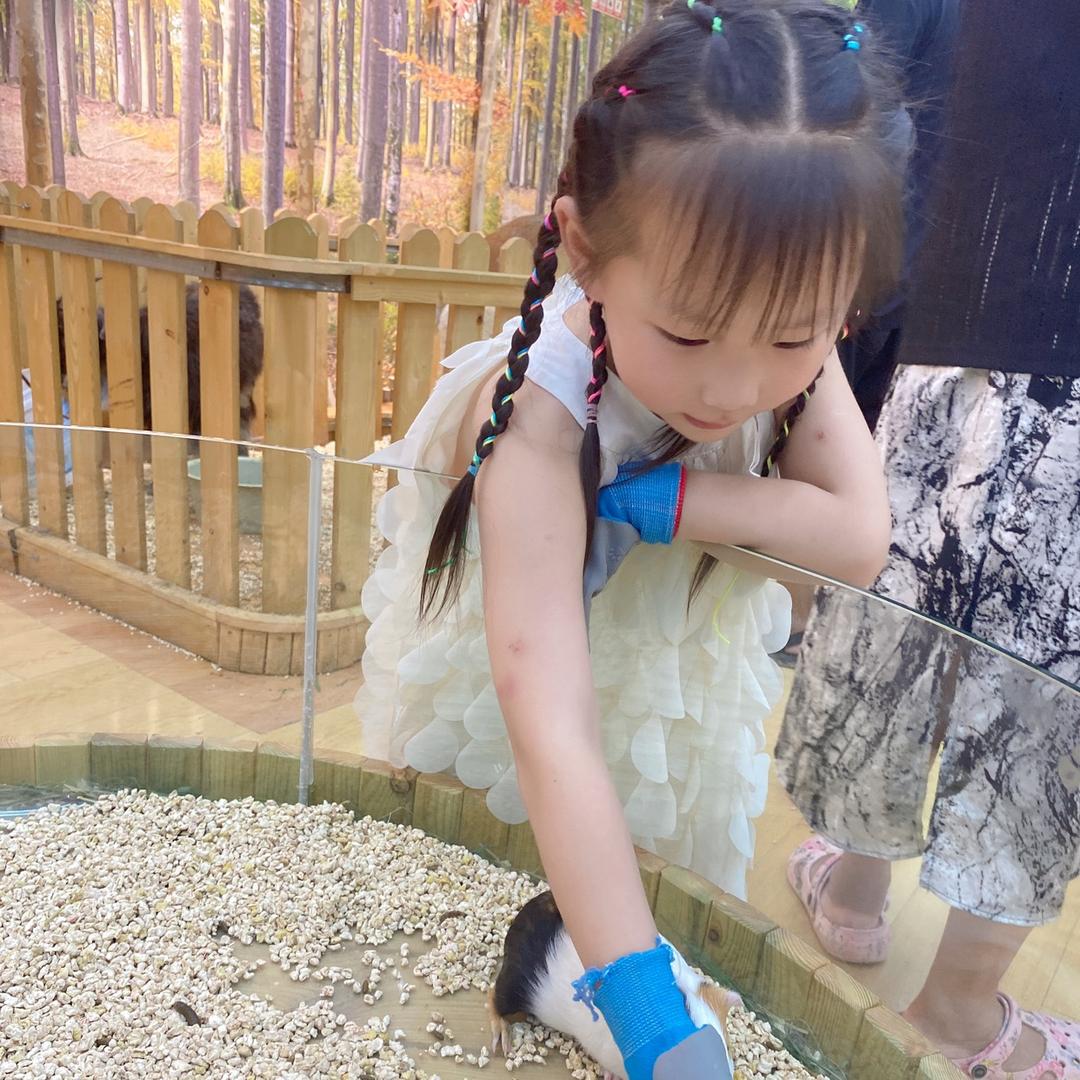 是小团子呀🍡 ⁶⁶⁶
