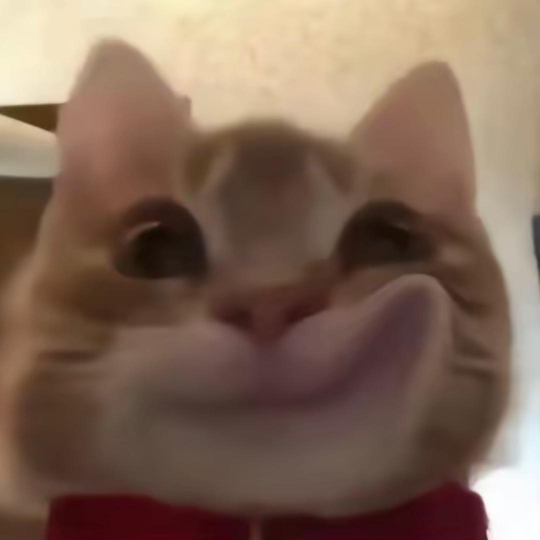 原来是猪猪呀.