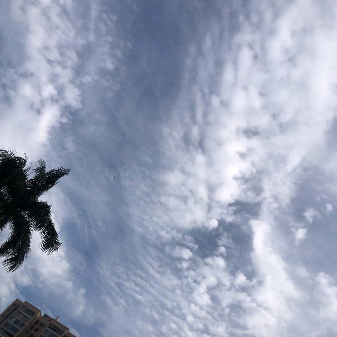 糕手Ki