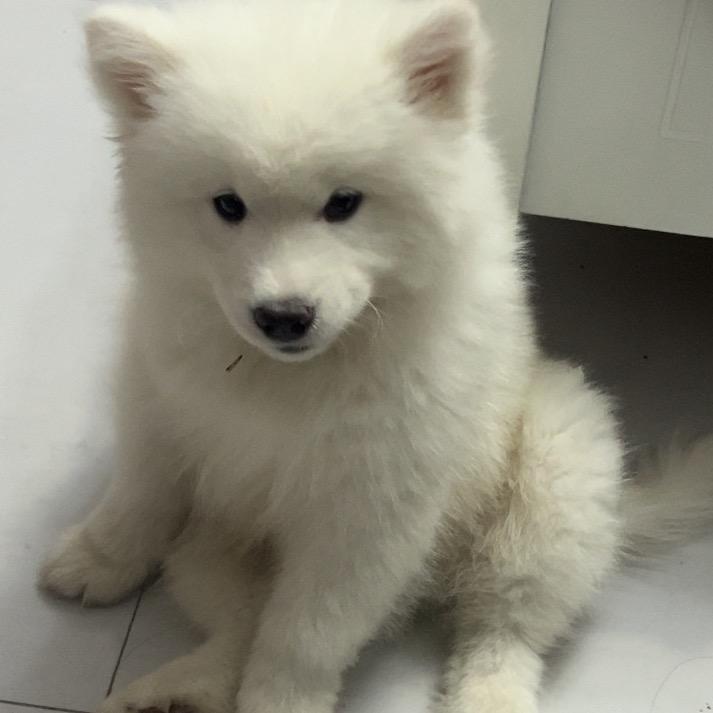 发财