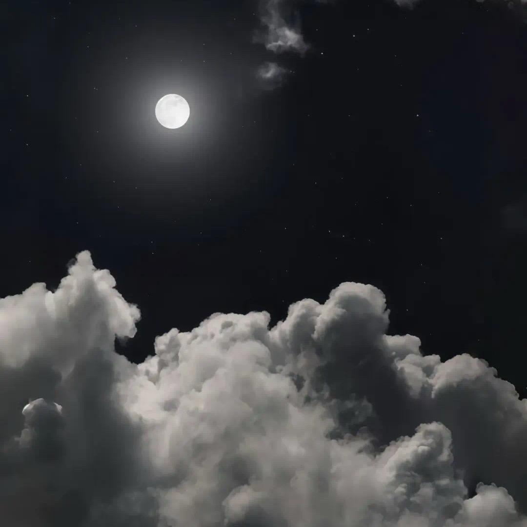 上海迪士尼