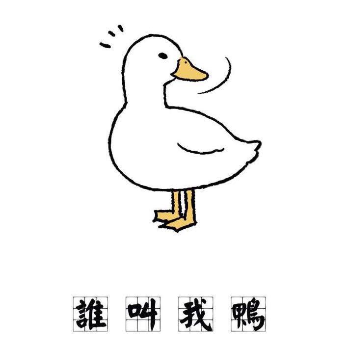 谁叫我鸭