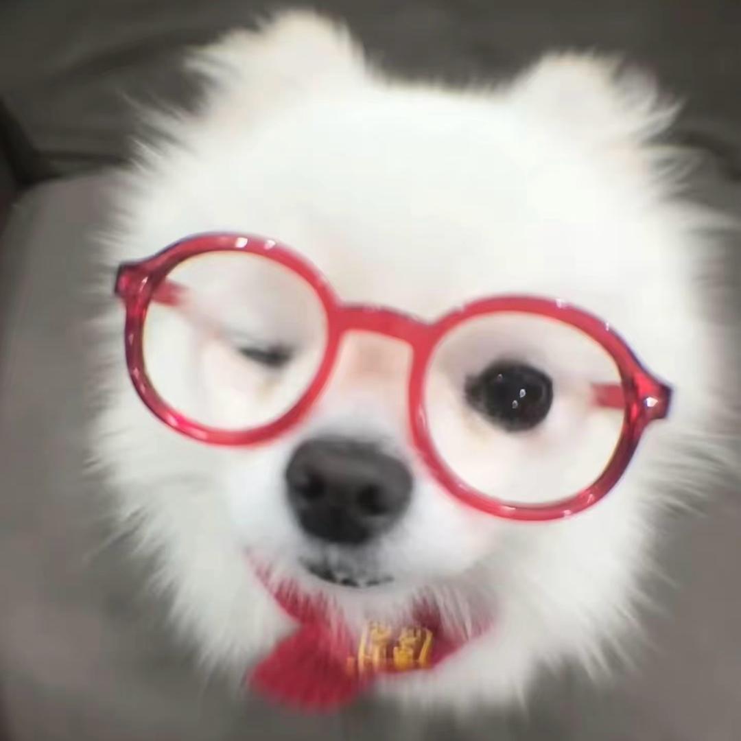 小馨oᴗ<