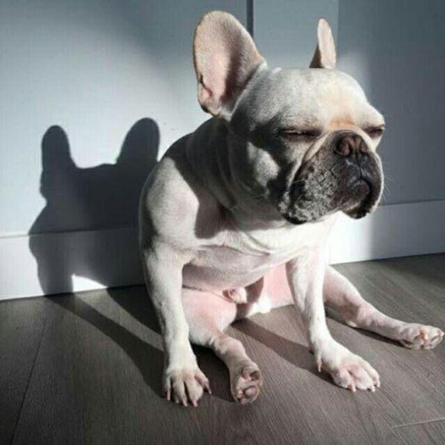 迟到的春天