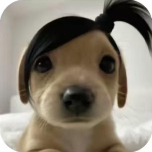 想念.