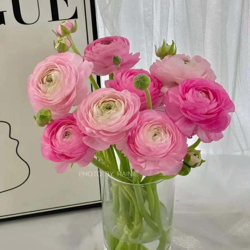 昆明淘花源鲜花精选