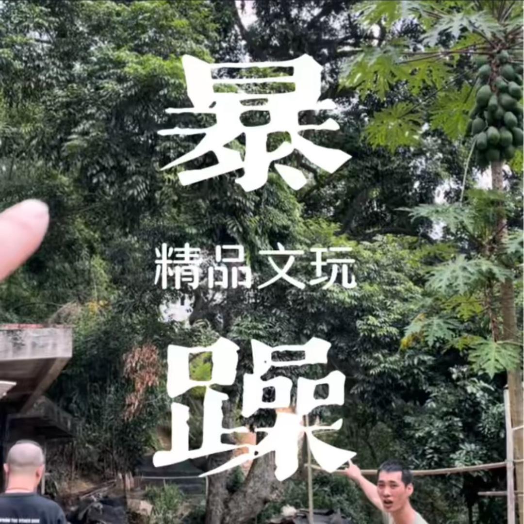 暴躁文玩