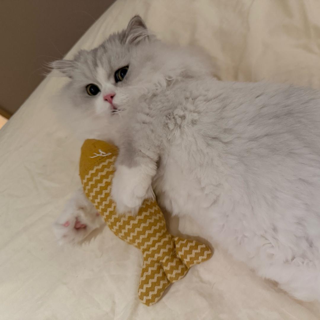 Rmomo