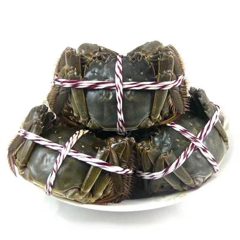 飞记 大闸蟹 小龙虾