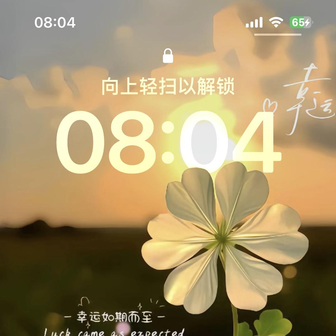 品质大码男装服饰店