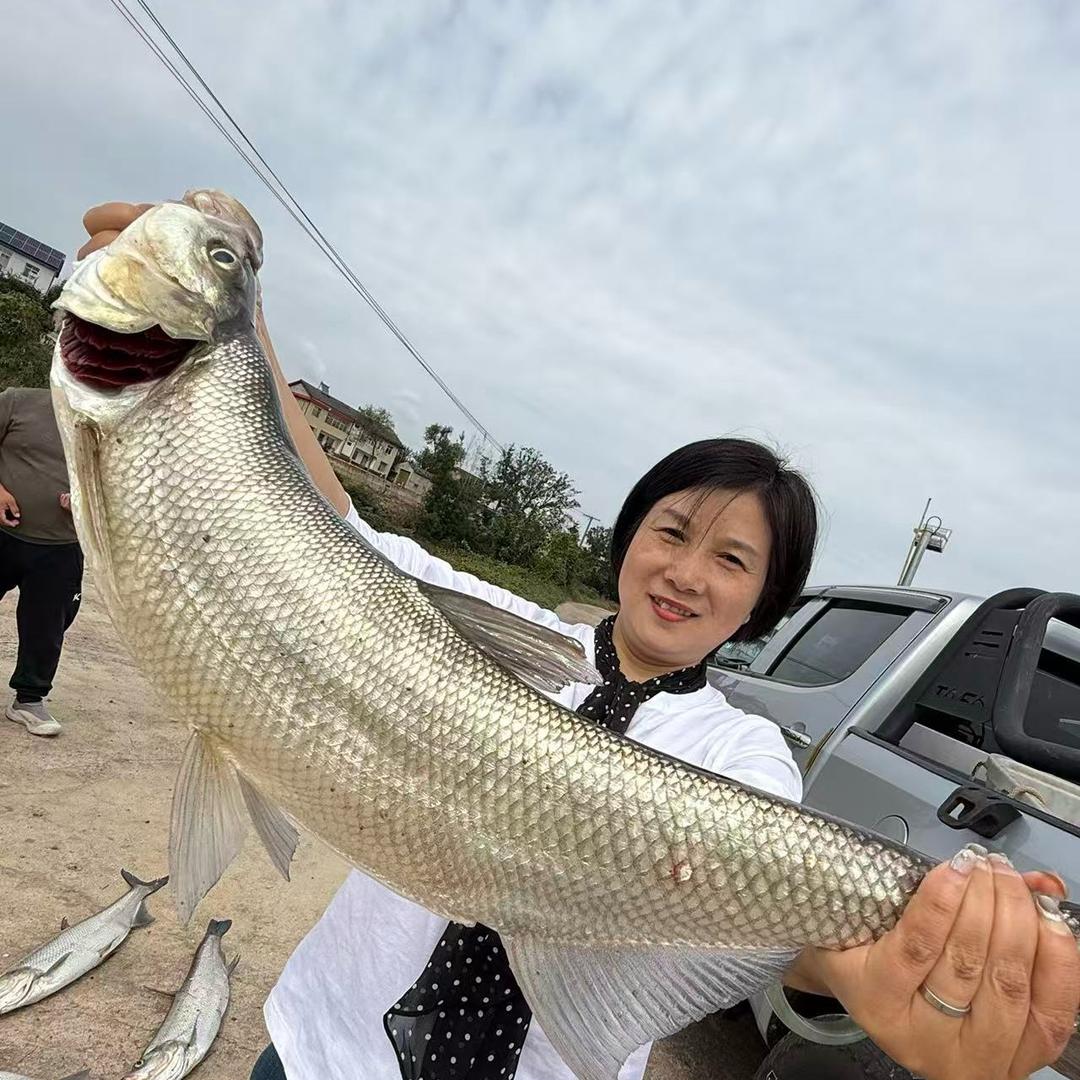 拖鱼的芳姐