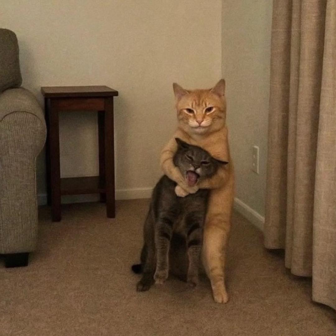 唐唐。