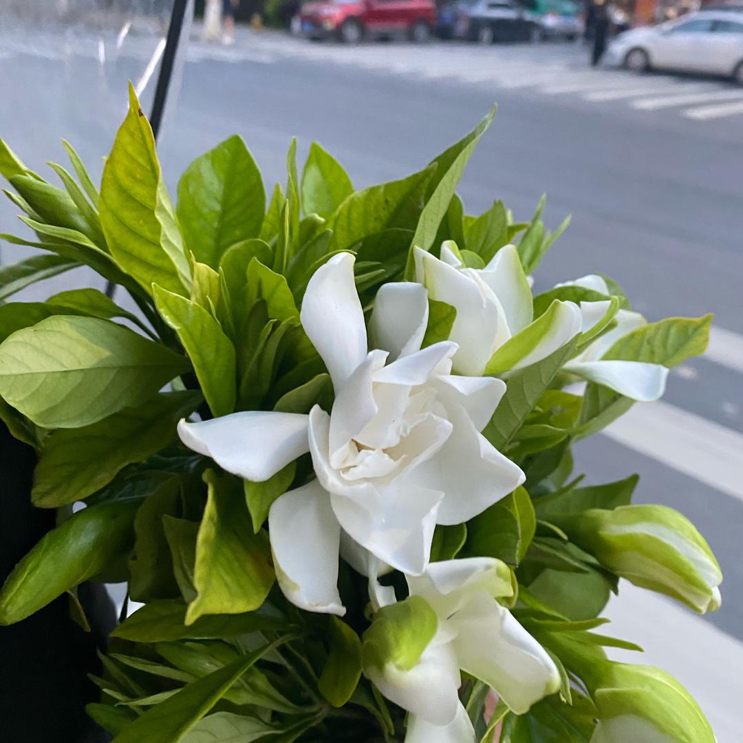 🧚‍♀️🧚‍♀️🧚‍♀️一半