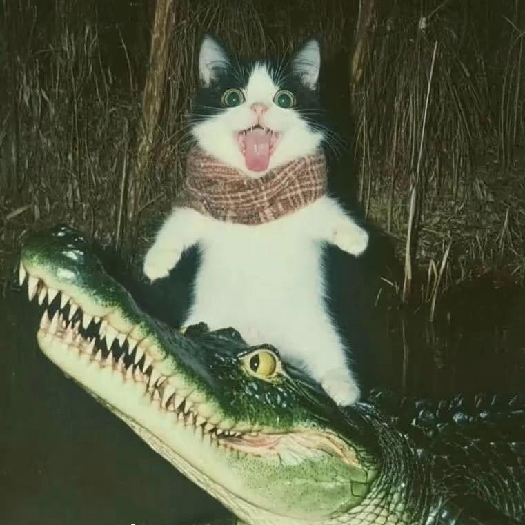 /.