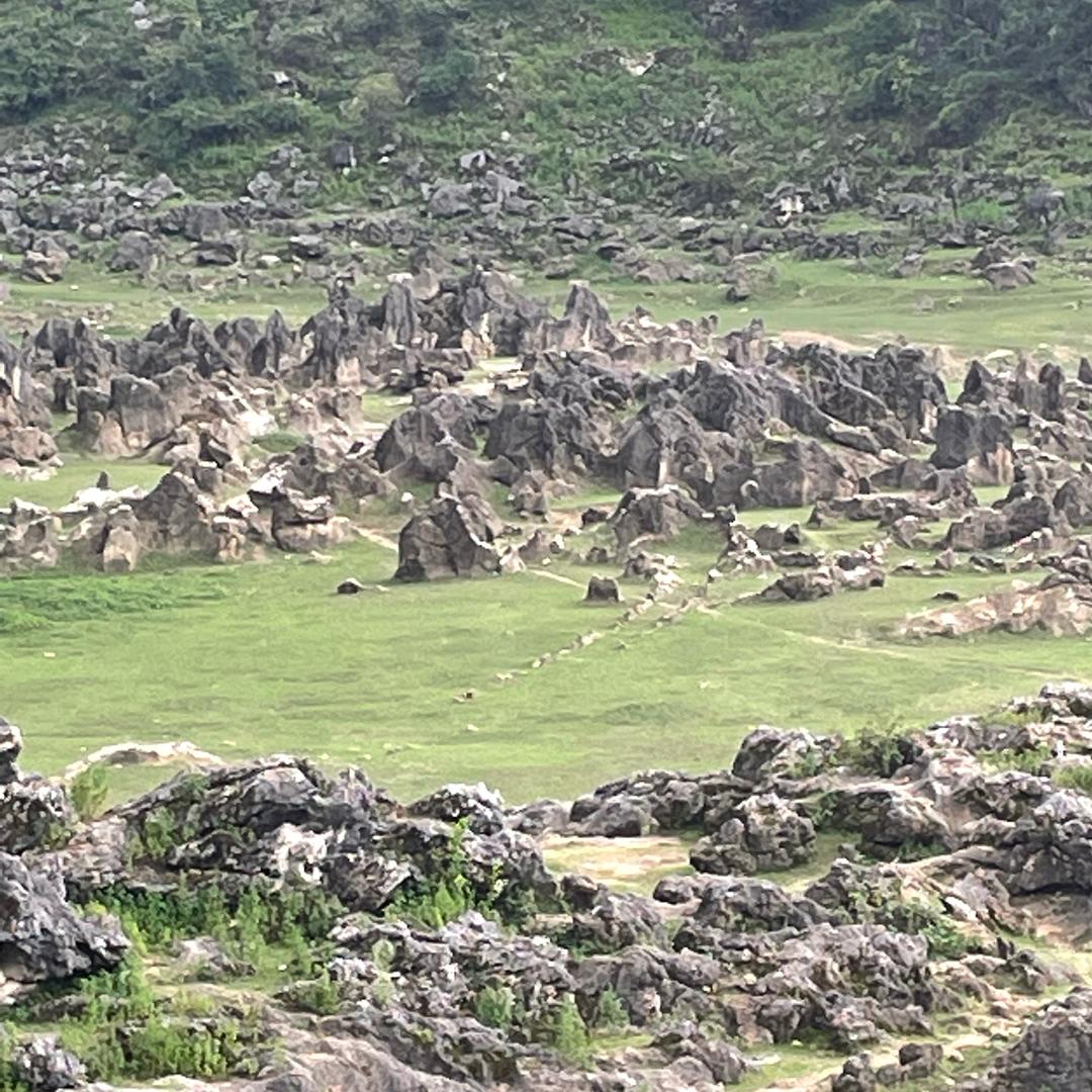 🚬ಇ᭄蒲公英࿐