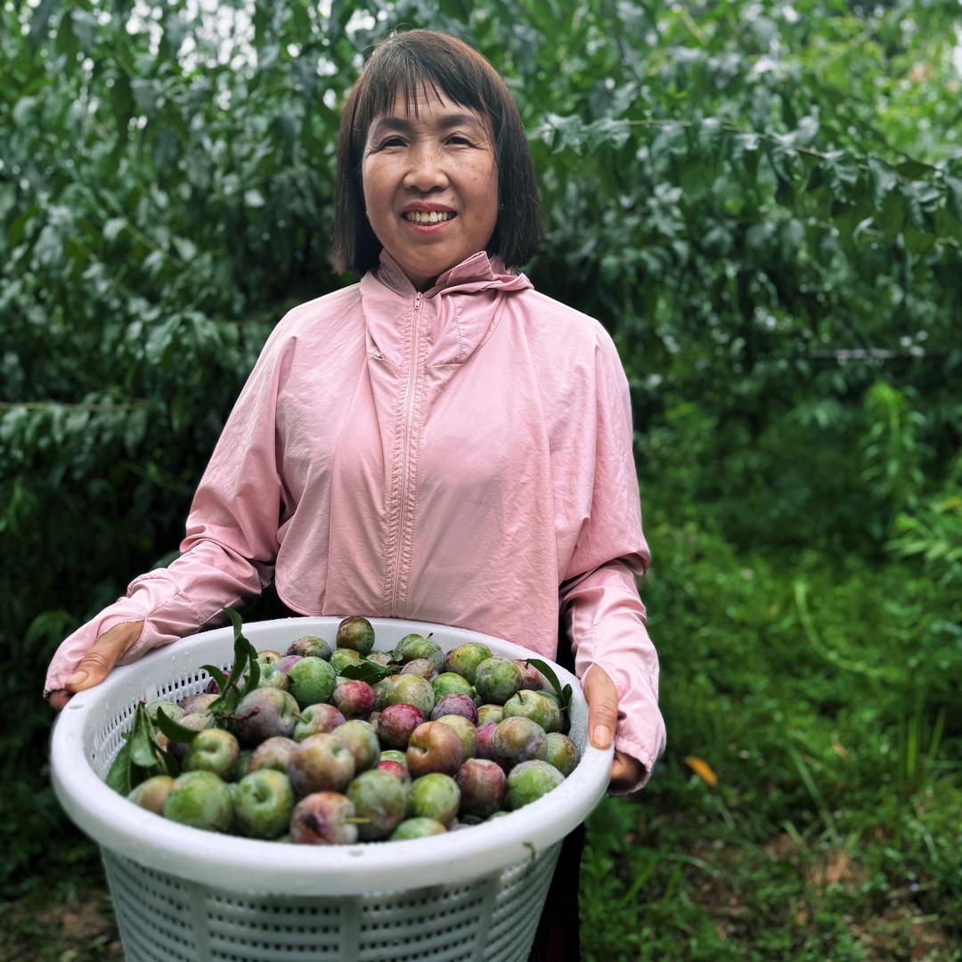 田云姐下午五点半直播