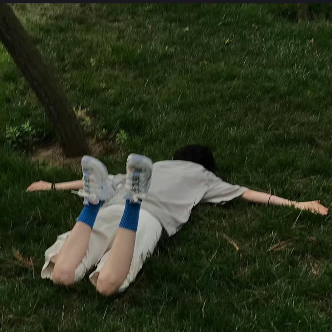 番茄拌西红柿