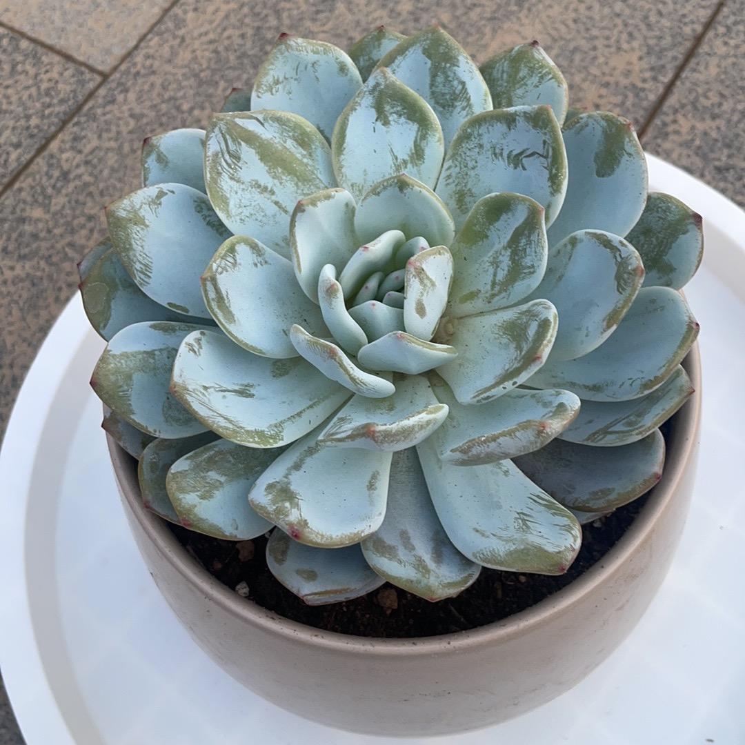 风雨过后有彩虹