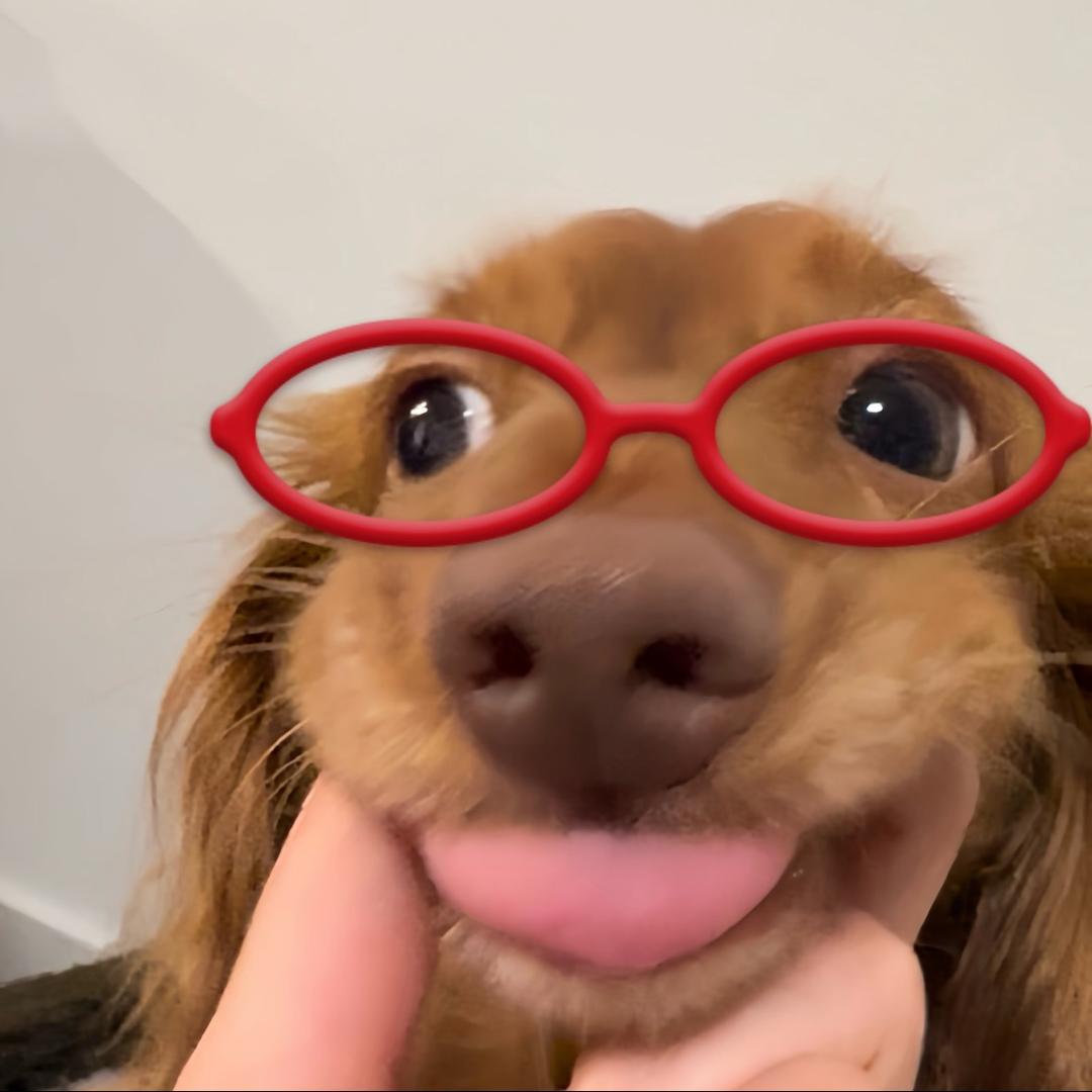 煎饼狗仔