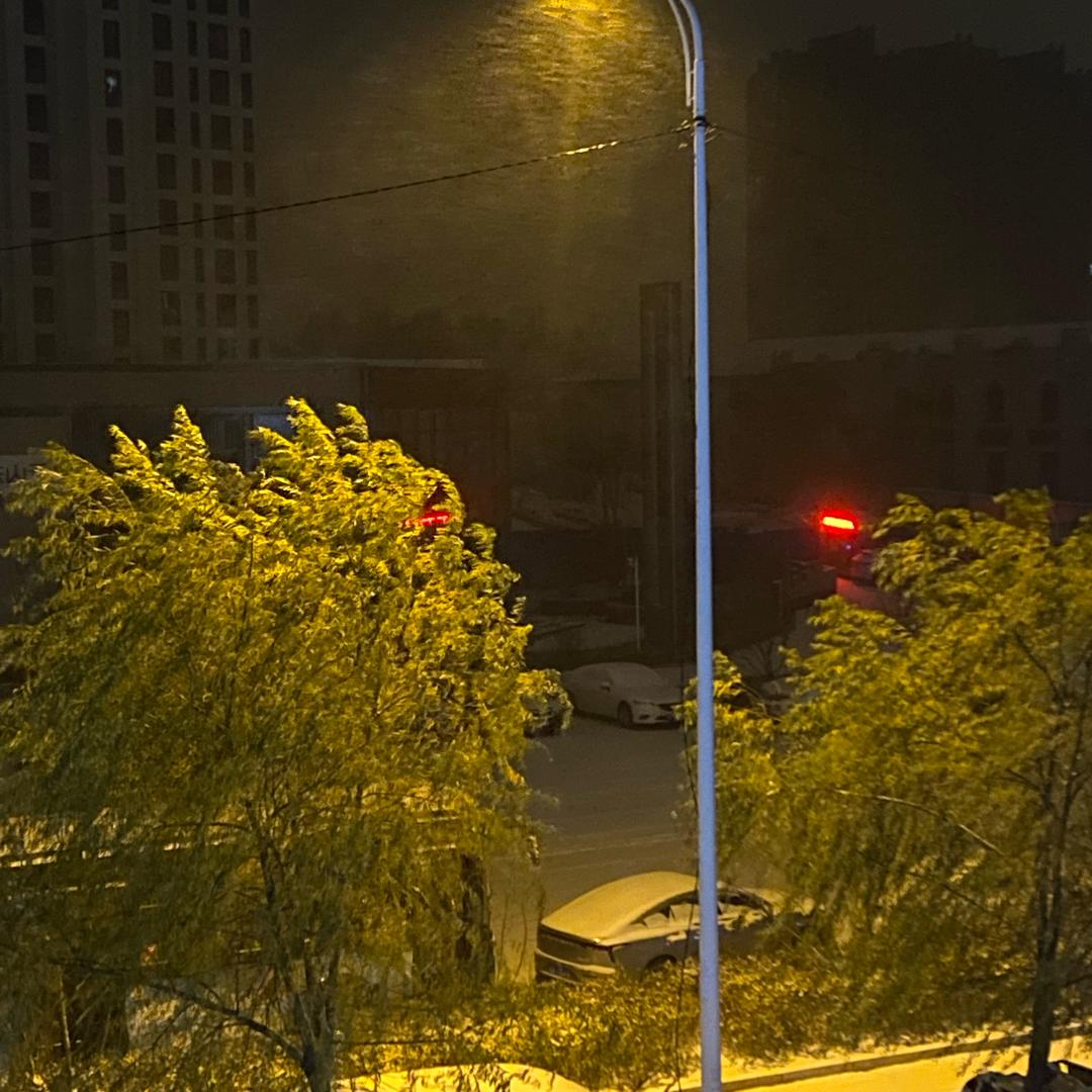 天天会读书