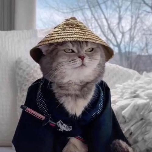 游戏小猫侠
