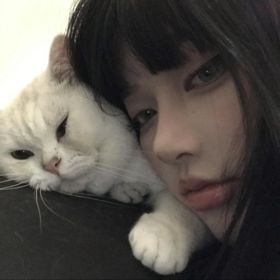 张小雪🧸