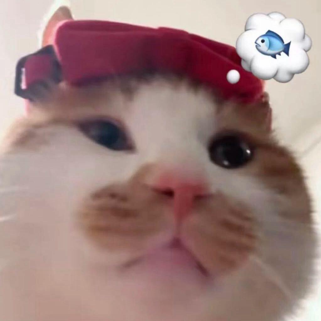 小玉米