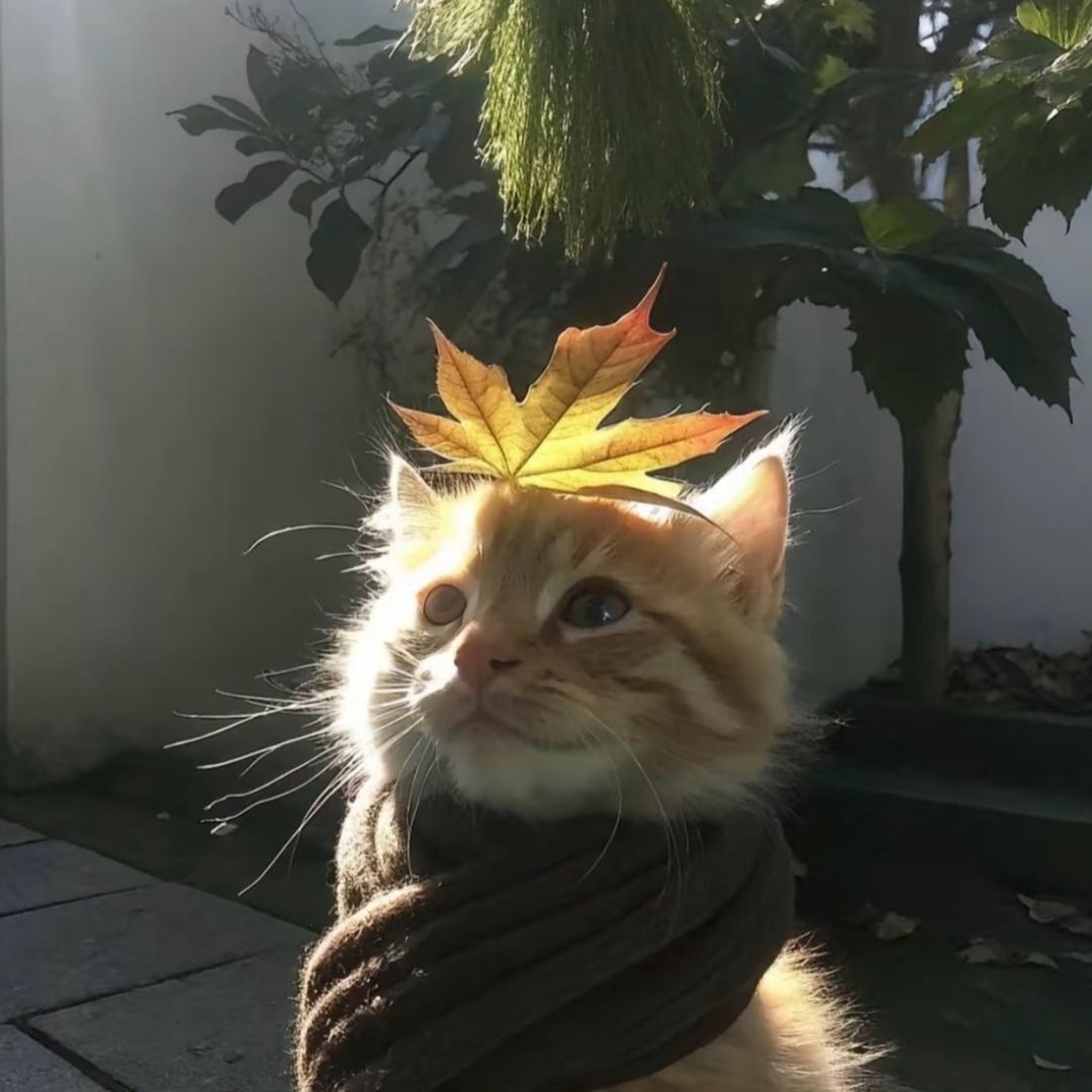 长留