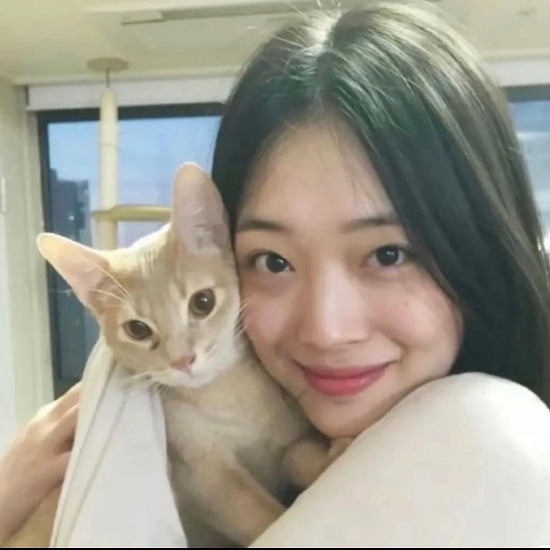绿子