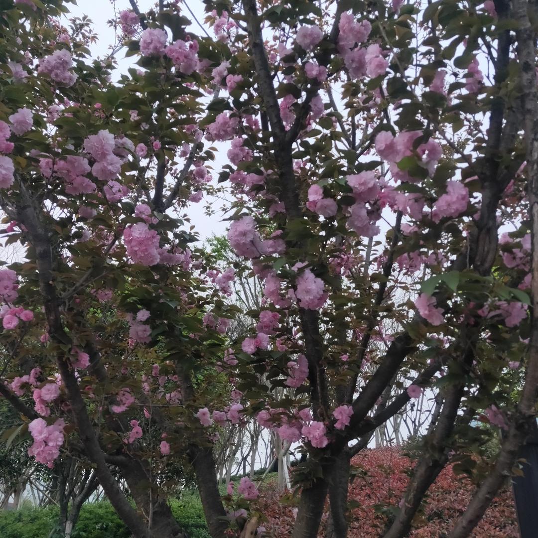 李姐
