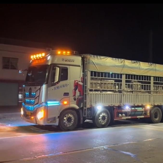 00后开卡车的小朱