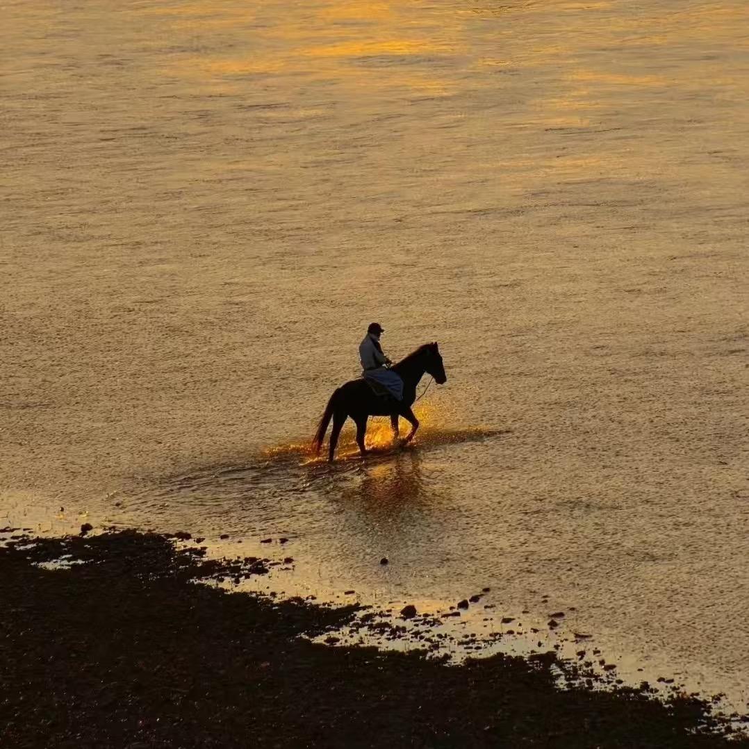 优信二手车特价小陈