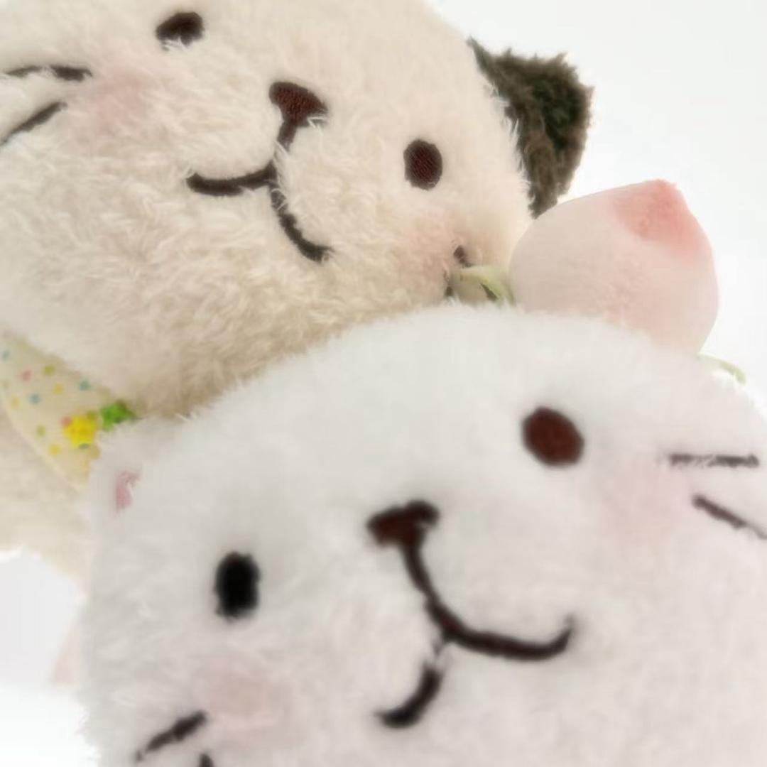 小梦