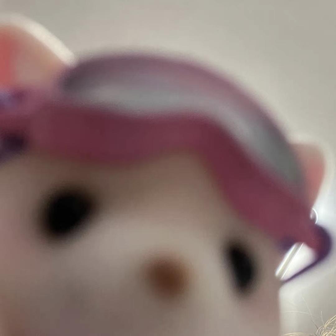 阿汤