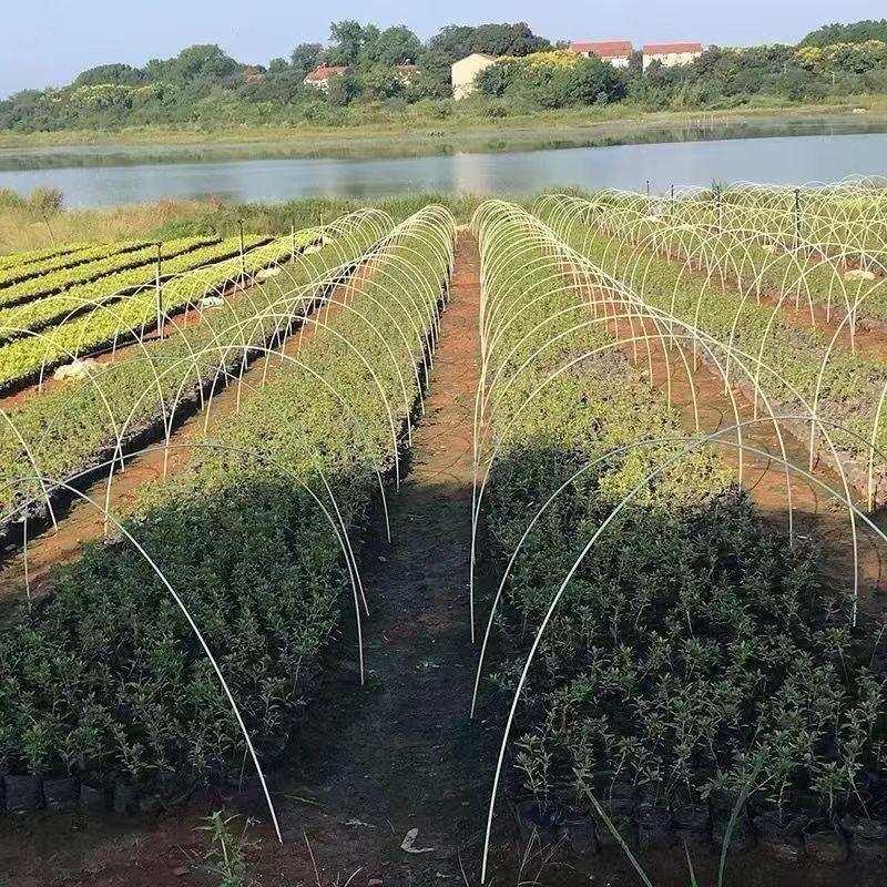 新韵拱棚支架厂家