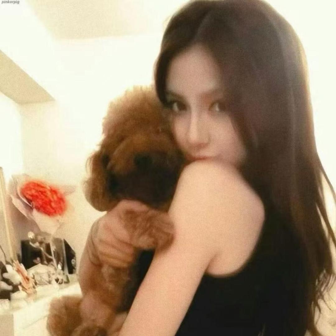bunny