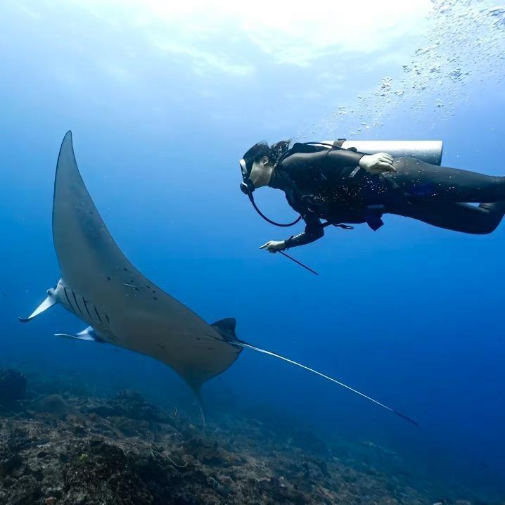 仙本那水屋潜店老板-小鹿