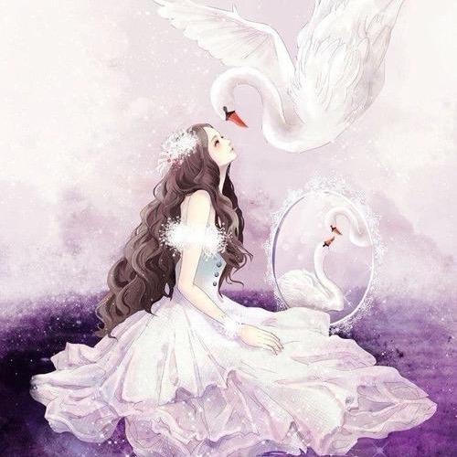 🦢慧慧