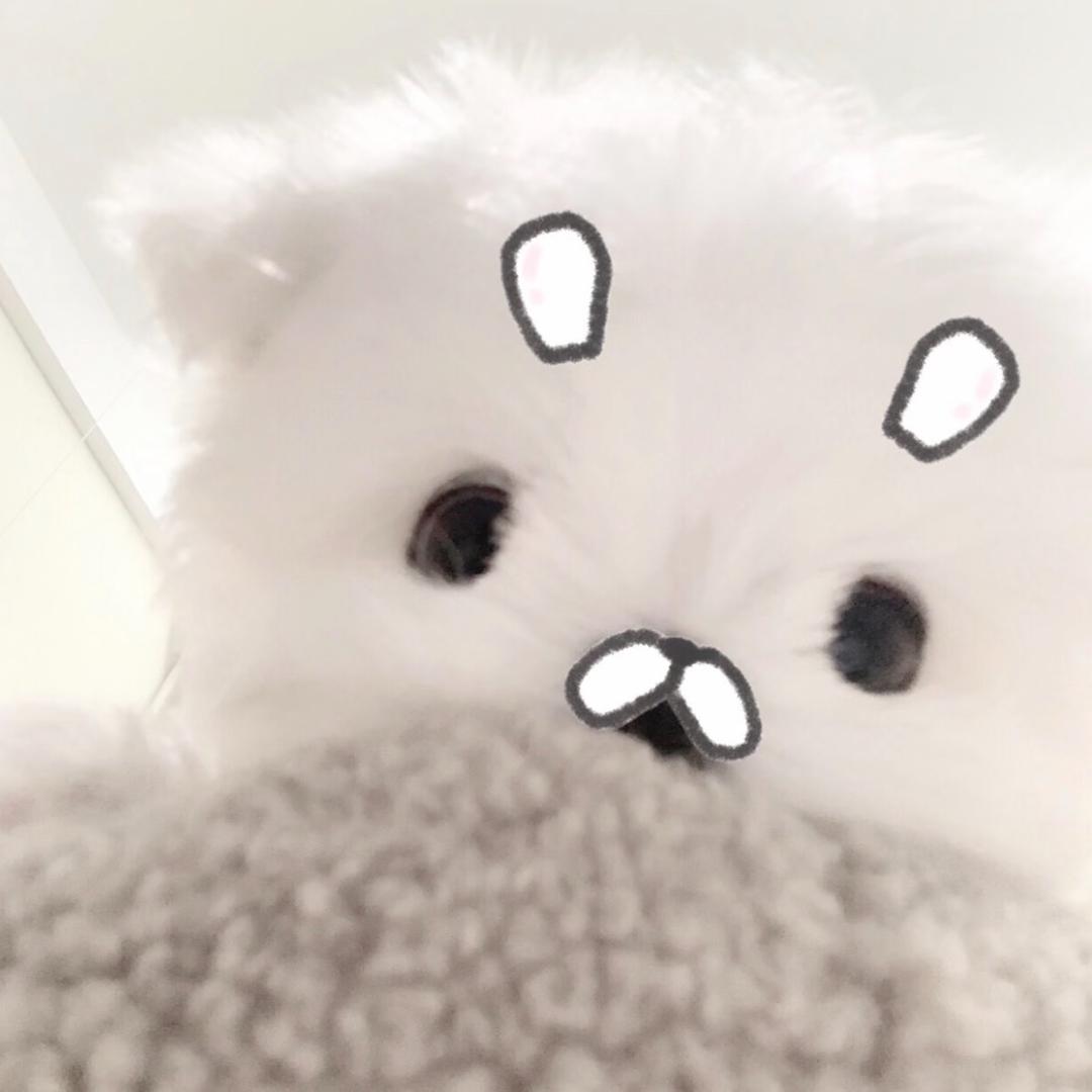我的镜有你几成