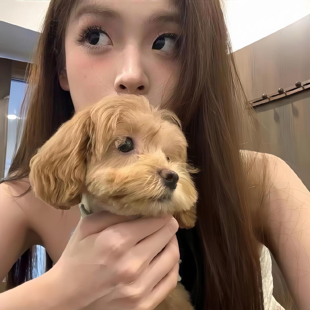 会飞的炸酱面
