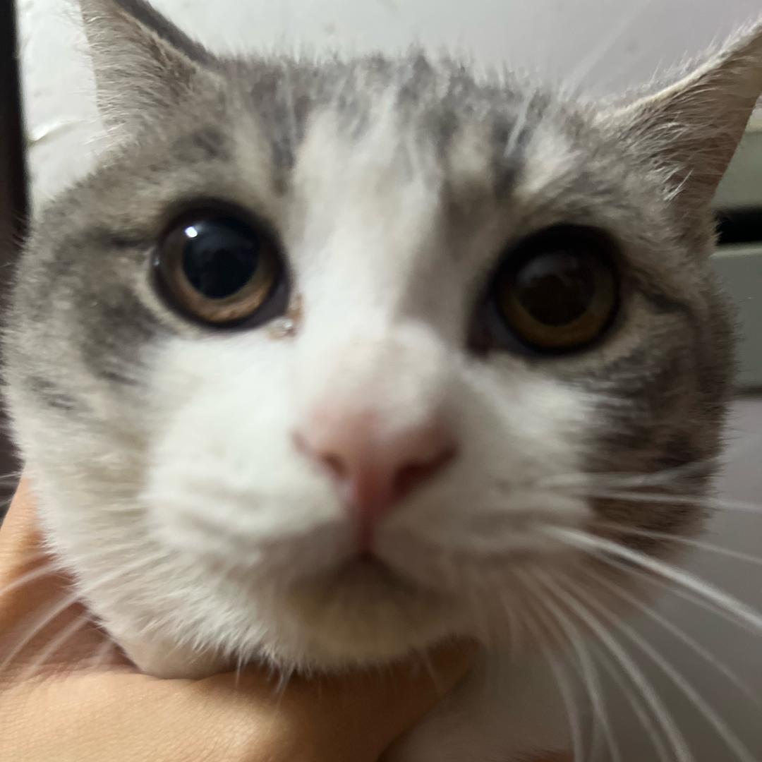 杳杳没孤鸿丶