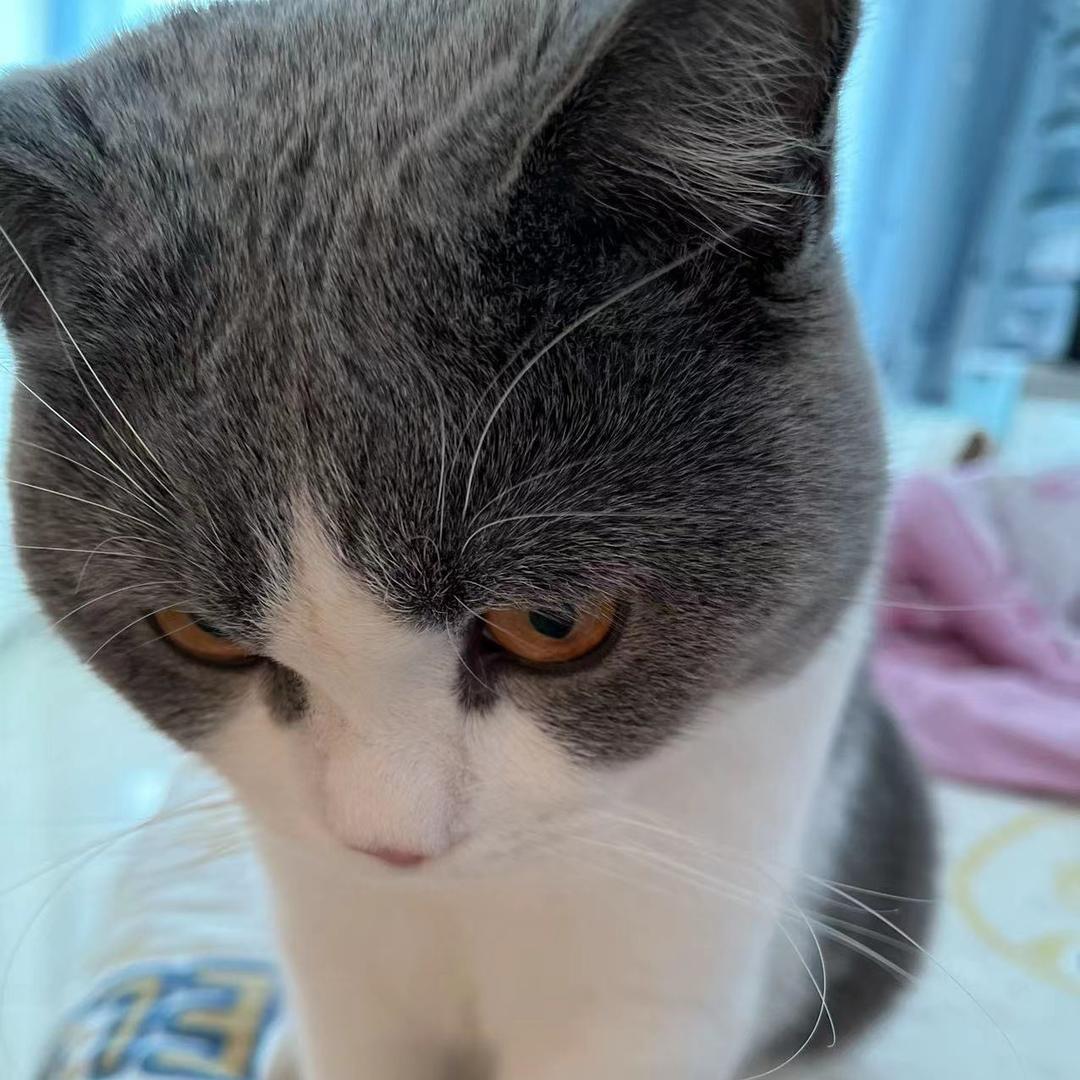 劣人