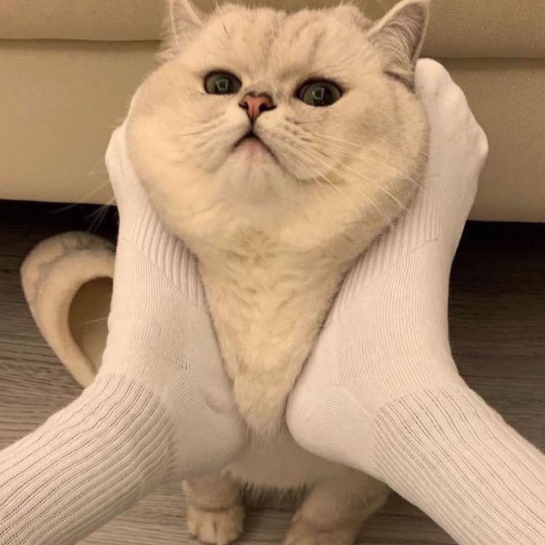 笑笑🧚‍♀️