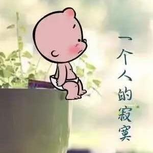 消失的晚风