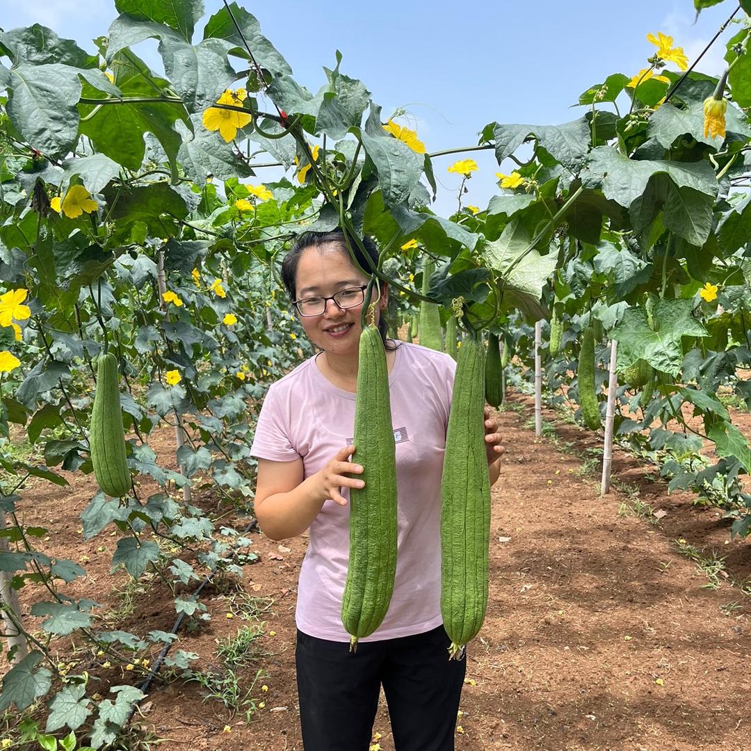 小方精选土特产