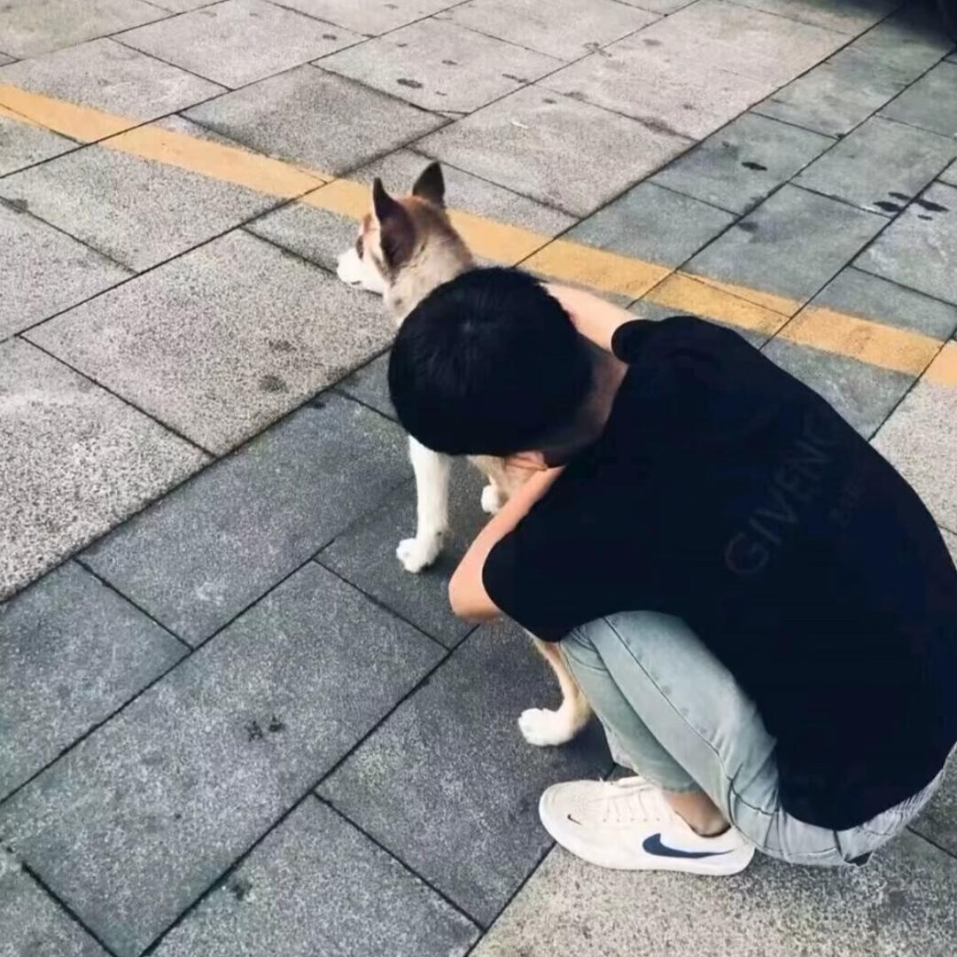 张小浩-🌙
