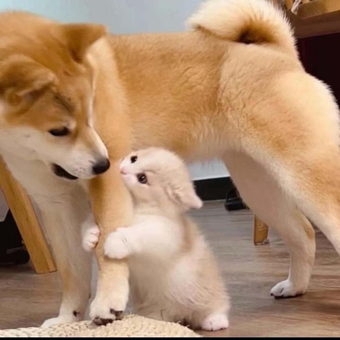 ，。